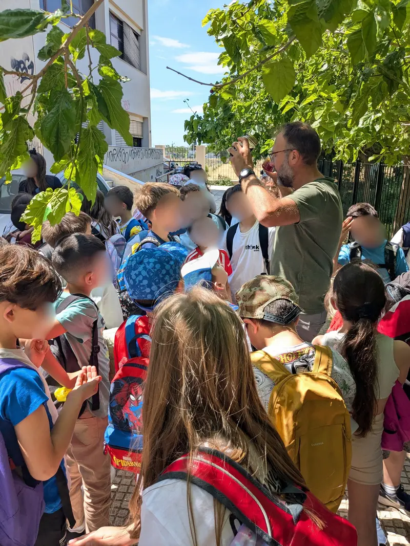 Ομάδα παιδιών παρακολουθεί υπαίθρια παρουσίαση κάτω από δέντρα.